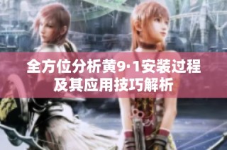全方位分析黄9·1安装过程及其应用技巧解析