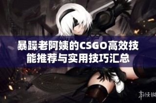 暴躁老阿姨的CSGO高效技能推荐与实用技巧汇总