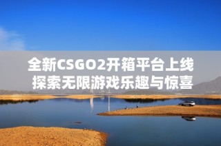 全新CSGO2开箱平台上线 探索无限游戏乐趣与惊喜体验