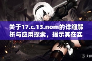 关于17.c.13.nom的详细解析与应用探索，揭示其在实践中的重要性与影响
