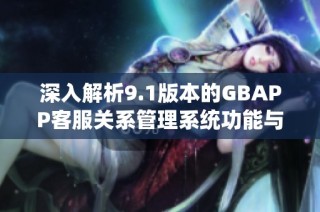深入解析9.1版本的GBAPP客服关系管理系统功能与应用