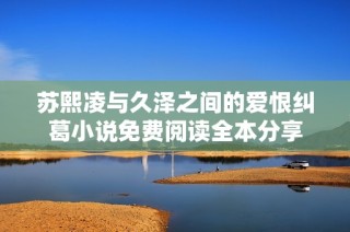 苏熙凌与久泽之间的爱恨纠葛小说免费阅读全本分享