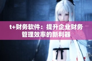 t+财务软件：提升企业财务管理效率的新利器
