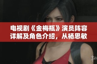 电视剧《金梅瓶》演员阵容详解及角色介绍，从杨思敏谈起