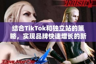 结合TikTok和独立站的策略，实现品牌快速增长的新途径