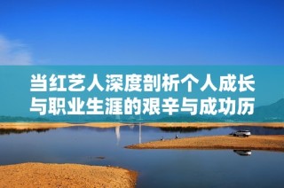 当红艺人深度剖析个人成长与职业生涯的艰辛与成功历程