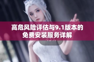 高危风险评估与9.1版本的免费安装服务详解