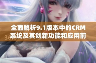 全面解析9.1版本中的CRM系统及其创新功能和应用前景