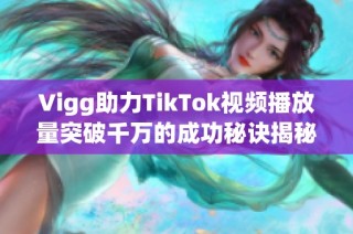 Vigg助力TikTok视频播放量突破千万的成功秘诀揭秘