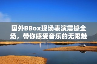 国外BBox现场表演震撼全场，带你感受音乐的无限魅力与激情