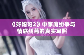 《好媳妇2》中家庭纷争与情感纠葛的真实写照