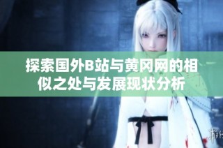 探索国外B站与黄冈网的相似之处与发展现状分析