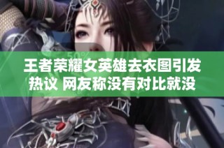 王者荣耀女英雄去衣图引发热议 网友称没有对比就没有伤害