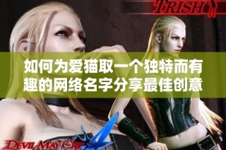 如何为爱猫取一个独特而有趣的网络名字分享最佳创意与灵感
