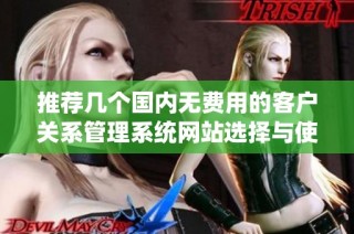 推荐几个国内无费用的客户关系管理系统网站选择与使用指南