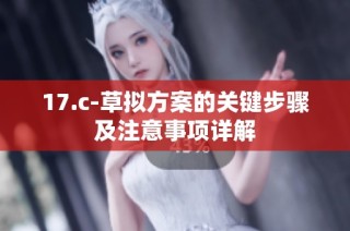 17.c-草拟方案的关键步骤及注意事项详解