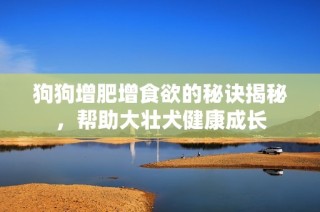 狗狗增肥增食欲的秘诀揭秘，帮助大壮犬健康成长