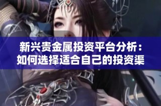 新兴贵金属投资平台分析：如何选择适合自己的投资渠道