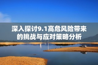 深入探讨9.1高危风险带来的挑战与应对策略分析
