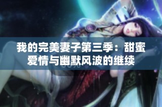 我的完美妻子第三季：甜蜜爱情与幽默风波的继续