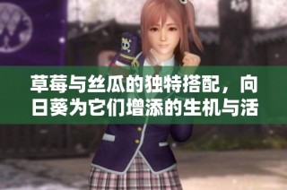 草莓与丝瓜的独特搭配，向日葵为它们增添的生机与活力