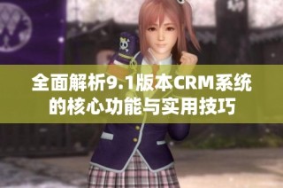 全面解析9.1版本CRM系统的核心功能与实用技巧