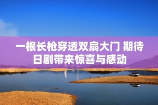 一根长枪穿透双扇大门 期待日剧带来惊喜与感动