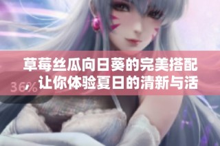 草莓丝瓜向日葵的完美搭配，让你体验夏日的清新与活力