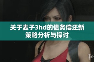 关于麦子3hd的债务偿还新策略分析与探讨