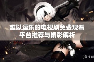 难以逗乐的电视剧免费观看平台推荐与精彩解析