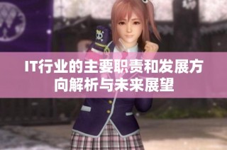 IT行业的主要职责和发展方向解析与未来展望