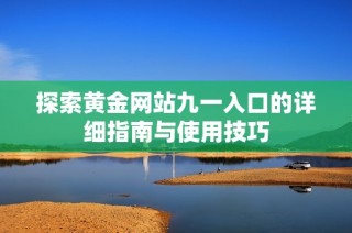 探索黄金网站九一入口的详细指南与使用技巧