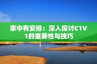 家中有安排：深入探讨C1V1的重要性与技巧