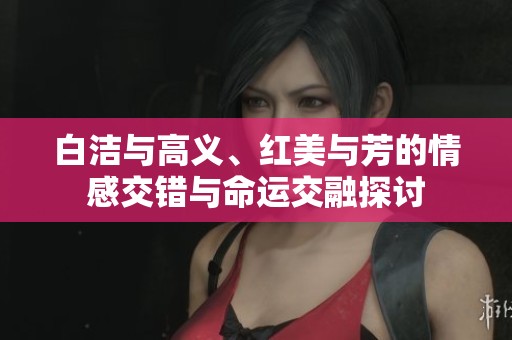 白洁与高义、红美与芳的情感交错与命运交融探讨