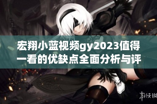 宏翔小蓝视频gy2023值得一看的优缺点全面分析与评测