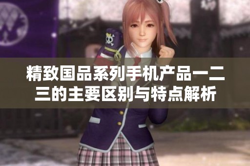 精致国品系列手机产品一二三的主要区别与特点解析