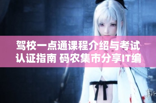 驾校一点通课程介绍与考试认证指南 码农集市分享IT编程学习的专业资源与经验