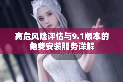高危风险评估与9.1版本的免费安装服务详解