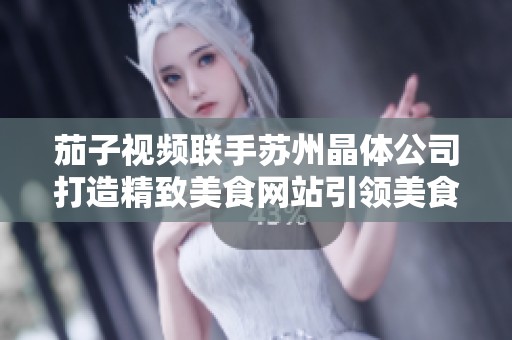 茄子视频联手苏州晶体公司打造精致美食网站引领美食潮流