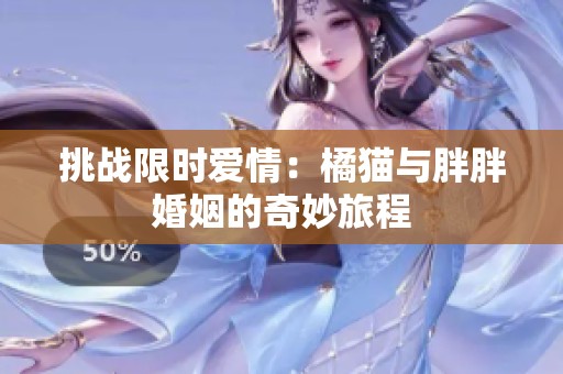 挑战限时爱情：橘猫与胖胖婚姻的奇妙旅程