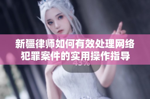 新疆律师如何有效处理网络犯罪案件的实用操作指导