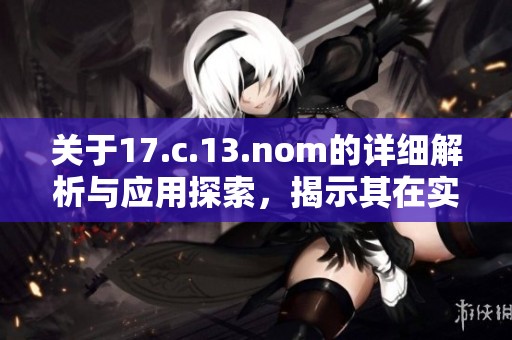 关于17.c.13.nom的详细解析与应用探索，揭示其在实践中的重要性与影响