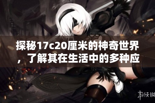 探秘17c20厘米的神奇世界，了解其在生活中的多种应用与价值