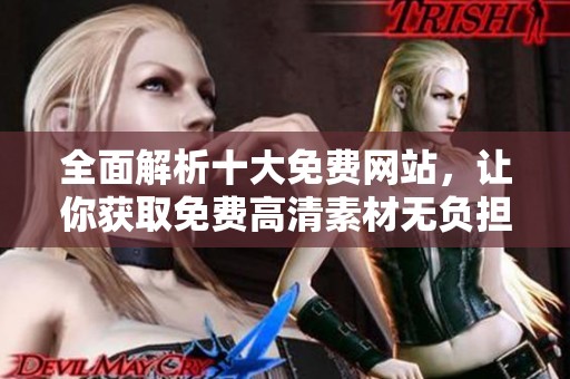 全面解析十大免费网站，让你获取免费高清素材无负担