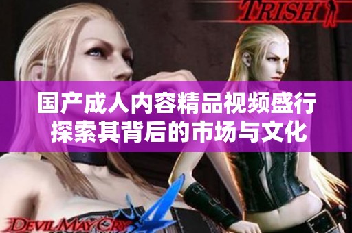 国产成人内容精品视频盛行 探索其背后的市场与文化影响