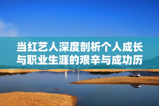 当红艺人深度剖析个人成长与职业生涯的艰辛与成功历程