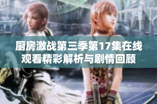 厨房激战第三季第17集在线观看精彩解析与剧情回顾