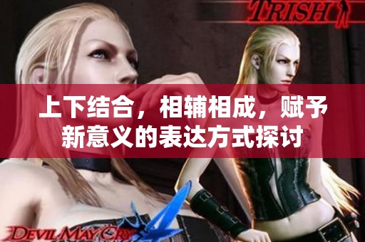 上下结合，相辅相成，赋予新意义的表达方式探讨