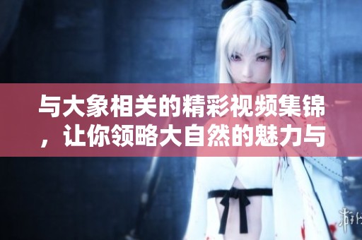 与大象相关的精彩视频集锦，让你领略大自然的魅力与智慧