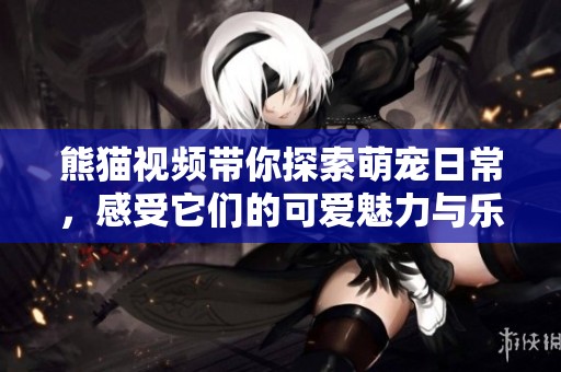 熊猫视频带你探索萌宠日常，感受它们的可爱魅力与乐趣